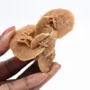 Petite Rose des sables marocaine : éclat du gypse naturel - 1