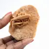 Rosette minérale du Maroc : cristallisation de gypse - 1