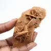 Rose des sables allongée du Maroc : spécimen géologique - 1