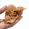 Rose des sables du Maroc : cristal de gypse substantiel - 1