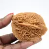 Spécimen de Rose des sables du Maroc : cristallisation dense - 1