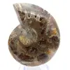 Ammonite polie : Géométrie marine de Madagascar - 1