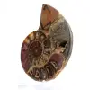 Ammonite de Mahajanga : Dualité et Tradition - 3