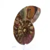 Ammonite fossilisée : Éclat minéral de Madagascar - 3