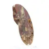 Ammonite de Madagascar : Finesse Minérale - 3