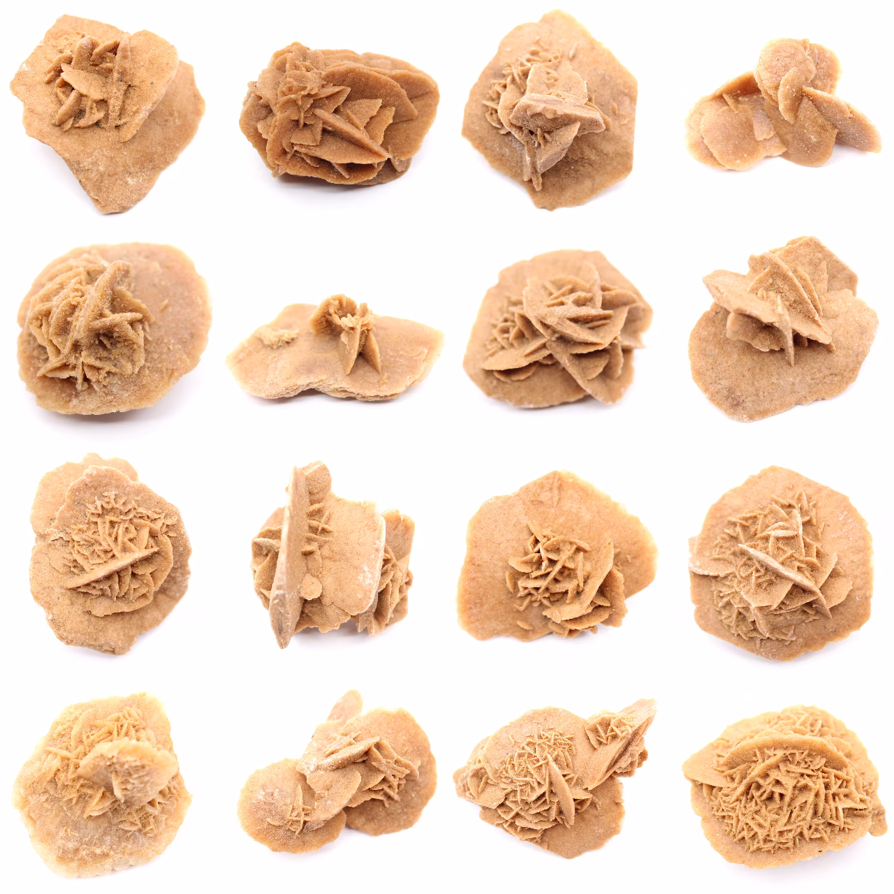 Petite Rose des sables du Maroc : fragment géologique naturel