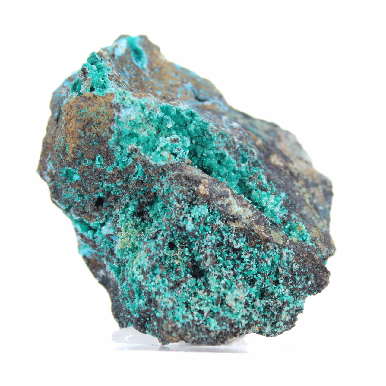 Brochantite du Chili : Minéral Brut sur Gangue et Socle