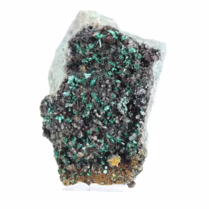 Brochantite Brute du Chili - Pièce Scientifique sur Socle