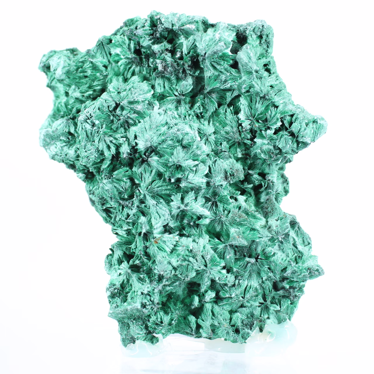 Malachite fibreuse au profil plat de RDC, minéral décoratif sur socle