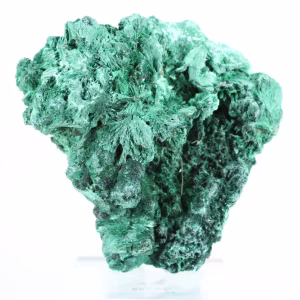 Malachite verte naturelle du Congo en agrégat fibreux, sur socle